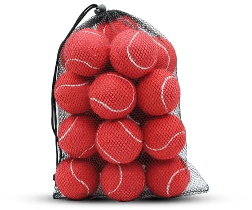 SHYUJAJIE 20 palline da tennis da allenamento ad alta elasticità, per principianti, esercizi per cani da compagnia