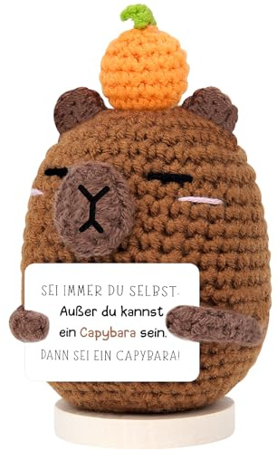 SelfTek Positive Capybara Deko für Erwachsene Büro Wohnzimmer & Auto | Handgehäkelter Glücksbringer , Motivationsgeschenk als Emotional Support Dekoration für Freund, Familie & Liebste