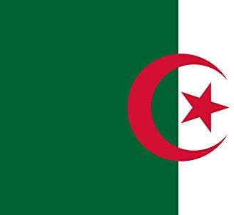 magFlags Drapeau XXL+ Algérie | Drapeau Paysage | 3.75m² | 150x250cm