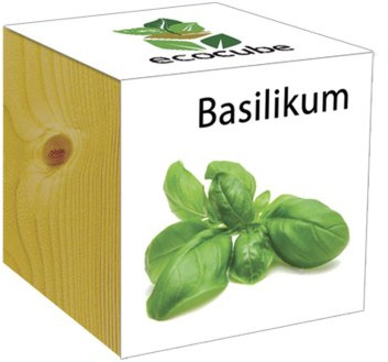 ecocube Holzwürfel - Basilikum