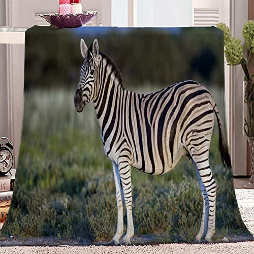 SJSXWQN Kuscheldecke Graues Zebra Kuscheldecke Flauschig Extra Weich Warme Mikrofaser Wohndecke Fleecedecke als Tagesdecke Sofadecke Couchdecke Bettüberwurf - 180x220 cm
