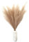 Generisch Pampasgras groß XXL Künstliches Pampas Deko 100cm, 3er Set, Tan