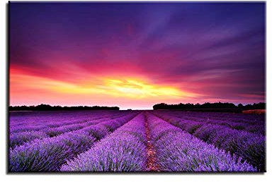 GLWDMB Stampa su tela, Poster da parete, Poster di campi di lavanda Quadro su tela, Quadri camera da letto, Paesaggio di bagliore viola al tramonto Quadri moderni soggiorno cucina,senza cornice