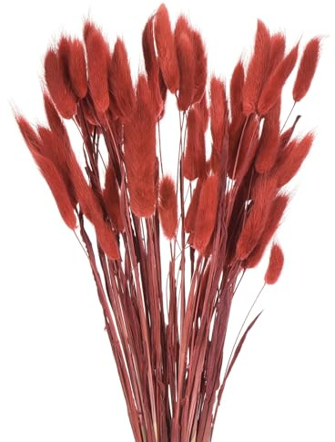 QUARKZMAN 60pz Coda di Coniglio Naturale Fiori Secchi 43cm Rosso | Mini Erba di Pampa, per Decorazioni Floreali, Matrimonio, Natale