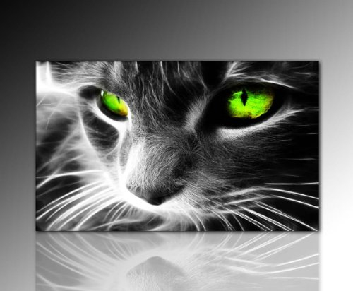 Wandbild XXL (Black Cat 60x100 cm) Deko Bild auf Leinwand. Ausführung schöner Kunstdruck auf echter Leinwand und Keilrahmen. Bild Motiv (Katze Augen schwarz grün weiß) Made in Germany
