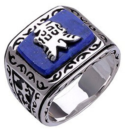 The Vampire Diaries Jeremy Resurrection Ring Elena Punk-Ring Qualität Modeschmuck Einzelhandel neues Design (9)