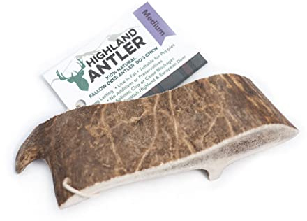 Highland Antler - Natural Fallow Antler Dog Chew. Pack of 1x Medium (75g - 150g) Naturally Shed Fallow Deer Antler, Long Lasting Dog Chew Bone With Calcium And Minerals (Shape may vary)