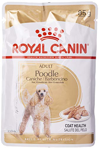 Royal Canin Poodle Adult | 12 x 85g | Nassfutter für Pudel Erwachsene & Senioren | ab 10 Monaten | Fellpflege | mit schmackhafter Konsistenz