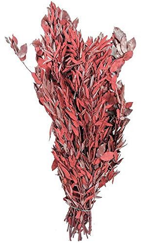 Naturosphère - Décoration Naturelle C44 - Quercus Ilex Rouge stabilisé - 90 cm