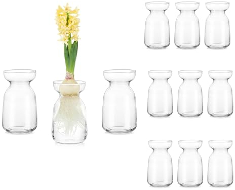 Glasseam Piccolo Vaso per Fiori Moderno, Vaso di Vetro 12 per Rose Posy, Multi Piante Crescenti Tulipano Vaso per Narcisi, Decorativo Chiaro Vaso per Centrotavola Matrimonio, Chic Hyacinth Vase