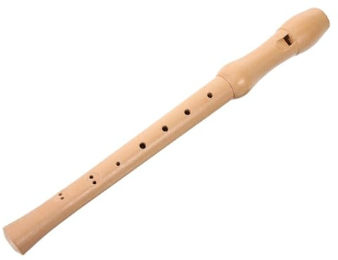 Toyvian 2stücke Abs Soprano Blockflöte Für Anfänger Transparentes Design Präzise Töne Üben Von Flexibilität Und Koordination Tragetasche