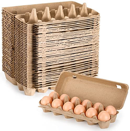 Wlauqueta 20 Pieces Cardboard Egg Cartons Blank Paper Pulp Egg Cartons A Dozen Egg Boxes