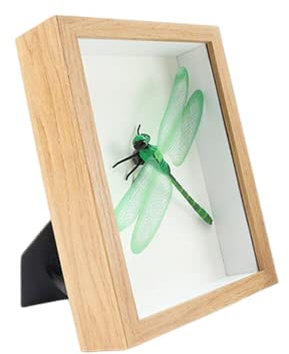 Rikyo Shadow Box Display Case,1.2 Deep Wooden Picture Frame for Dried Flowers,Display Pictures 4x6 with Mat or 5x7 Without Mat for Memorabilia Photos Bottle Caps Medals(Wood Color-5X7)