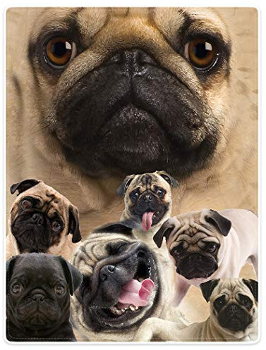 JUZGTSIT Kuscheldecke, warm, weich, gemütlich, pflegeleicht, maschinenwaschbar, Mops, Hund, Gelb, 125 x 150 cm