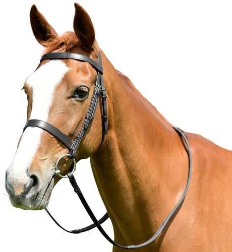 Kincade - Flaches Zaumzeug mit Zügeln für Pferde Classic, Leder (Pony) (Schwarz)