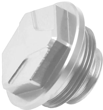 Arretratore Pistoncini Adatto per KTM SX XC EXC XCW SXF XCF EXCF TPI 125-500 Adatto per Husqvarna TC FC FX Te Fe 2004-2023 Pompa Freno Posteriore Pinza Freno Pistone del Freno(Silver Screw)