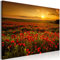 decomonkey Bilder Landschaft 60x40 cm 1 Teilig Leinwandbilder Bild auf Leinwand Vlies Wandbild Kunstdruck Wanddeko Wand Wohnzimmer Wanddekoration Deko Mohnblumen Blumen Sonnenuntergang Himmel