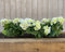 Garden 365 Gerani artificiali, confezione da 3, piante da esterno per tutto l'anno, fiori finti per esterni, impermeabili e protetti dai raggi UV