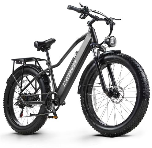 CEAYA Elektrofahrrad,E-Bike für Herren und Damen 26'' E-Mountainbike,48V20AH E Fahrrad,Pedelec Mit 𝟕-𝐆𝐚𝐧𝐠-𝐒𝐜𝐡𝐚𝐥𝐭𝐮𝐧𝐠,LCD Display,Fat Tire Elektro Fahrrad