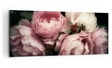 Wandbilder Dekoration Wohnzimmer Pfingstrose Blume Panorama Bilder auf Leinwand 120x50cm Leinwandbild Schlafzimmer Küche Wand Kunstdruck Art Groß Wanddeko Bild Wall Decor Canvas AB120x50-3930