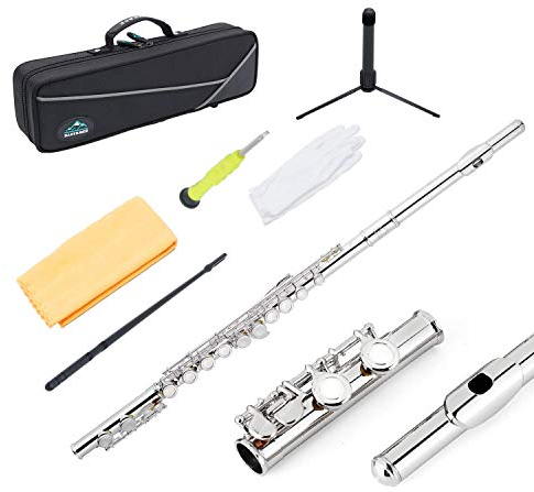 Eastrock Flûtes Traversière à Trous Fermés, Flûtes Traversière 16 Trous pour Débutant Adultes, Flûte Traversière en Argente avec Support Kit de Nettoyage Tuning Rod Étui de Transport