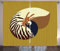 ABAKUHAUS Schnecke Rustikaler Vorhang, Nautilus-Muschel Unterwasser, Wohnzimmer Universalband Gardinen mit Schlaufen und Haken, 280 x 245 cm, Pale Coffee Caramel