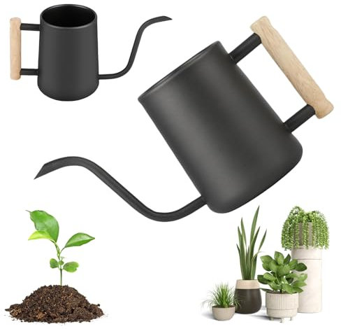 Annaffiatoio per piante da appartamento: LEKEFETO, piccolo annaffiatoio in acciaio inox con comodo manico in legno e beccuccio lungo sottile, annaffiatoio per interni per piante grasse, bonsai pianta