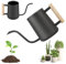 1L/35oz Gießkanne Zimmerpflanzen: LEKEFETO Giesskanne Klein Edelstahl mit Komfortablem Holzgriff und Langem Dünner Ausgießer, Gießkanne Indoor für Zimmerpflanzen Sukkulenten Bonsai Topfpflanze
