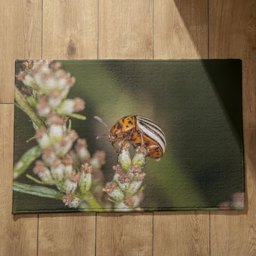 EHOMERY External Doormats Foot Mat for Camping Nature Absorbent Door Mats Indoor Bathroom Runner Mat 45x75cm, Non-Slip Plush Cotton Decor Doormat