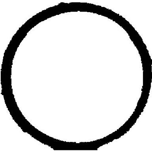 REINZ 71-36066-00 Dichtung, Ansaugkrümmer
