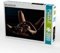 CALVENDO Puzzle Nackt und alleine im Bett 2000 Teile Lege-Größe 90 x 67 cm Foto-Puzzle Bild von Stefan weis
