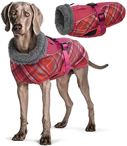 Wasserdichter Hundemantel Winter Warme Hundejacke, Hundebekleidung Outfit für kleine mittel große Hunde, Hundepullover mit Sicheren Reflexstreifen für Labrador Chihuahua Französische Bulldogge