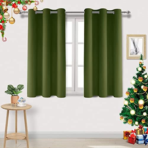 DWCN Blackout Curtains Bedroom Curtains Eyelet Green Curtains for Living Room Curtains & Draps Thermal Curtains 46 x 54 Inch 2 Panels