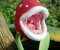 Semillas de plantas carnívoras hechiceras:Seeds Only