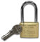 Viro 31107 313 Lucchetto Ottone Mm50 Arco Lungo Mm48