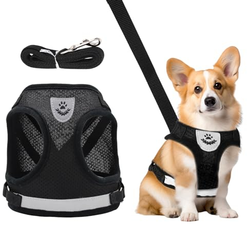 Verstellbare Brustgeschirr, Welpen Geschirr und Leine Sets, Hundegeschirr mit Leine Reflektierend, Reflektierende Verstellbare Katzen Weste, Hundegeschirr mit Leine für Kleine Hunde Katzen (XS)