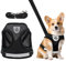 Verstellbare Brustgeschirr, Welpen Geschirr und Leine Sets, Hundegeschirr mit Leine Reflektierend, Reflektierende Verstellbare Katzen Weste, Hundegeschirr mit Leine für Kleine Hunde Katzen (XS)