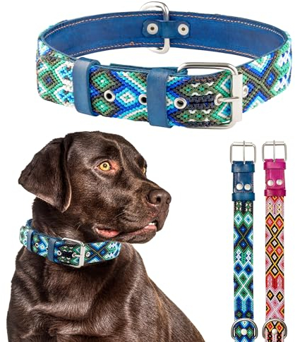 Talrio Hundehalsband aus Leder, besticktes Design, für Jungen und Mädchen, Blau / Rosa, für mittelgroße Hunde, groß, niedlich, Para Perros (Azure Dreams, Größe M)
