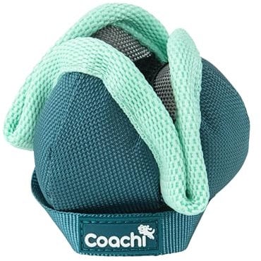 Coachi Puppy & Mini Chase & Treat, Ideal für Spiel & Jagd, Agility- & Distanztraining, Fördert Interaktion, Gut für Motivation, Distanzbelohnungstraining & Apportieren. Geeignet für Hunde & Welpen