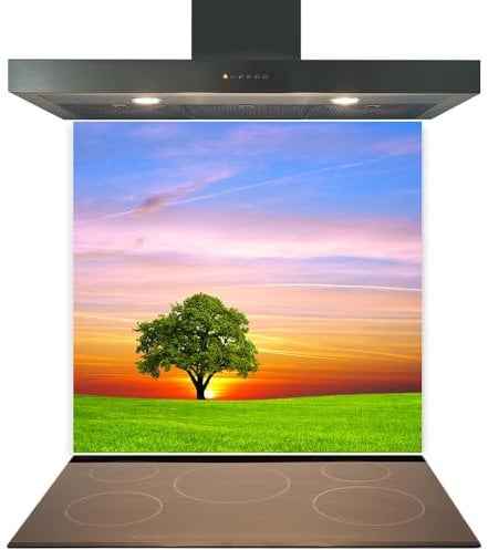 C2G Printed Toughened Glass Splashback for Kitchen, Tempered Heat-Resistant Glass Splashbacks with Polished Edges for Cooker and Hob Backsplash (Design 2259, 60 x 80cm)