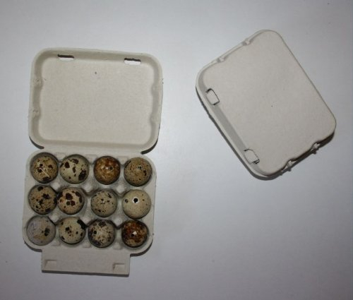 Cnudde 1 Stück 12er Wachteleierverpackung