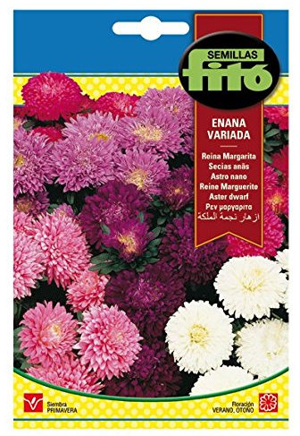Semillas Fitó 656 - Semillas de Reina Margarita Enana Variada