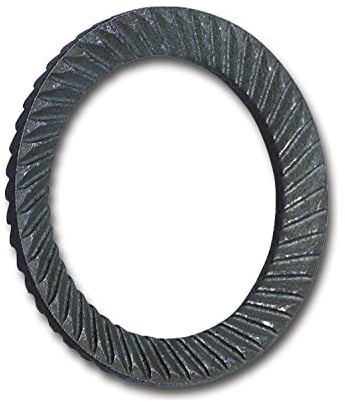 SCHNORR 881200040160000 Sicherungsscheibe S M16 Federstahl Blank, Silber