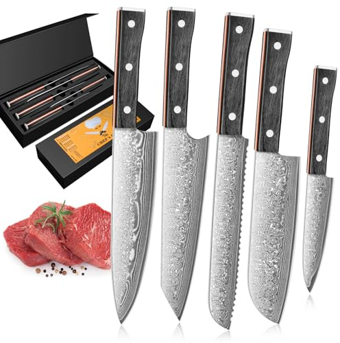 BILLION DUO Damastmesser Set, Messerset 5-teilig, 67 Schicht VG10 Damaszener Stahl Küchenmesser Set, Profi Kochmesser, Damast Messerset mit Harzgriff - D08 Serie