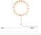 ZPYXBH Pflanzenlicht Led Vollspektrum, Grow Light LED Pflanzenleuchte, Pflanzenlampe Für Zimmerpflanzen, Wachstumslampe Für Pflanzen, Sonnenlicht USB Lampe Mit Zeitschaltuhr 8/12/16H,Sunlight,1 Ring