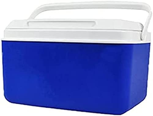Mini frigorifero portatile con secchiello per il ghiaccio commerciale da 5L-12L, scatola frigo per esterni, ghiacciaia da campeggio di grande capacità per auto da ufficio, blu, 5L