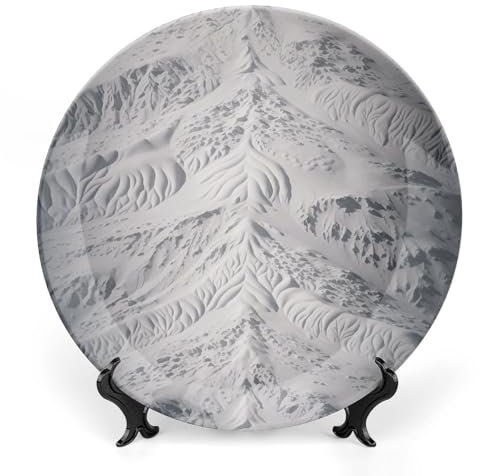 Assiette décorative en porcelaine anglaise de 25,4 cm avec base imprimée blanche et grise - Assiettes rondes personnalisées en porcelaine fine à collectionner pour salon, salle à manger, cuisine,