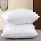 Adam Home Set mit 2 Sofakissen, 65 cm x 65 cm, Kissenfüllung (26 x 26), weiß, weiche, schnell zurückfedernde Kisseninnenseite, Hohlfaser-Sofakissen, perfekt für Sofas