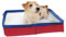 PVC Foldable Pet Swimming Pool, 50×50cm Summer Cooling Cat & Dog Pool, Non-Inflatable Dog Paddling Pool, Bath Tub for Small-Bodied Pet for Backyard Fun Bath Use