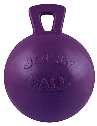 Horsemens Pride Inc. Horsemen Stolz Jolly Ball - 10 Purple - Purple Clear, Unisex, HMP0010
